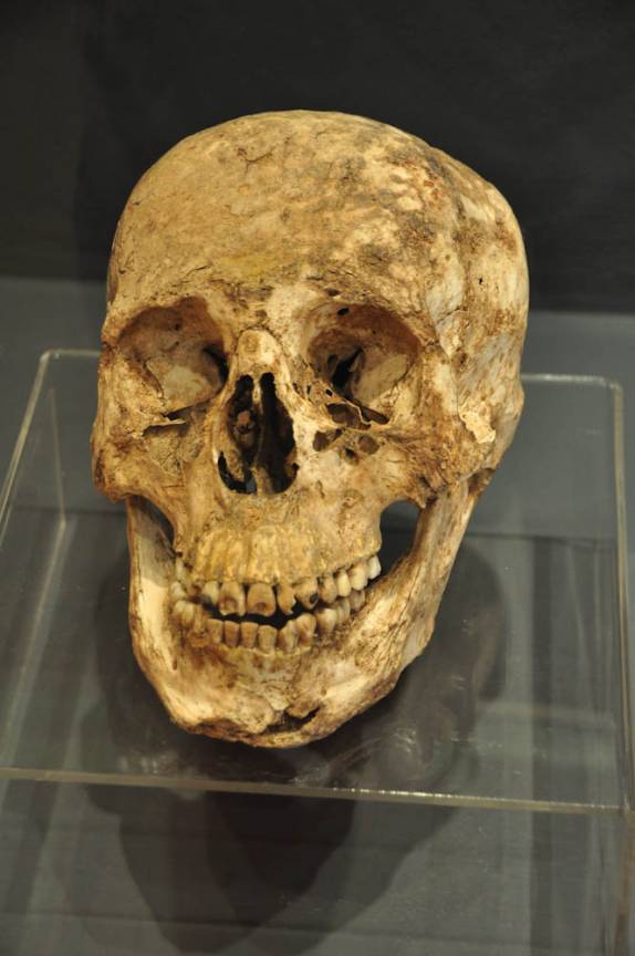 Crânio encontrado nas ruínas mayas de San Andrés, em El Salvador